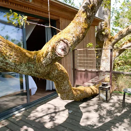 Perchee - Prive, & Nature * Sadirac