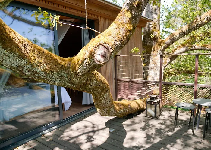 Perchee - Prive, & Nature * Sadirac